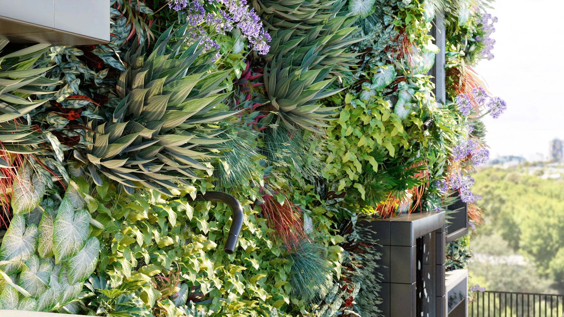 Globe Plants – Bundle 47 – Vertical Garden