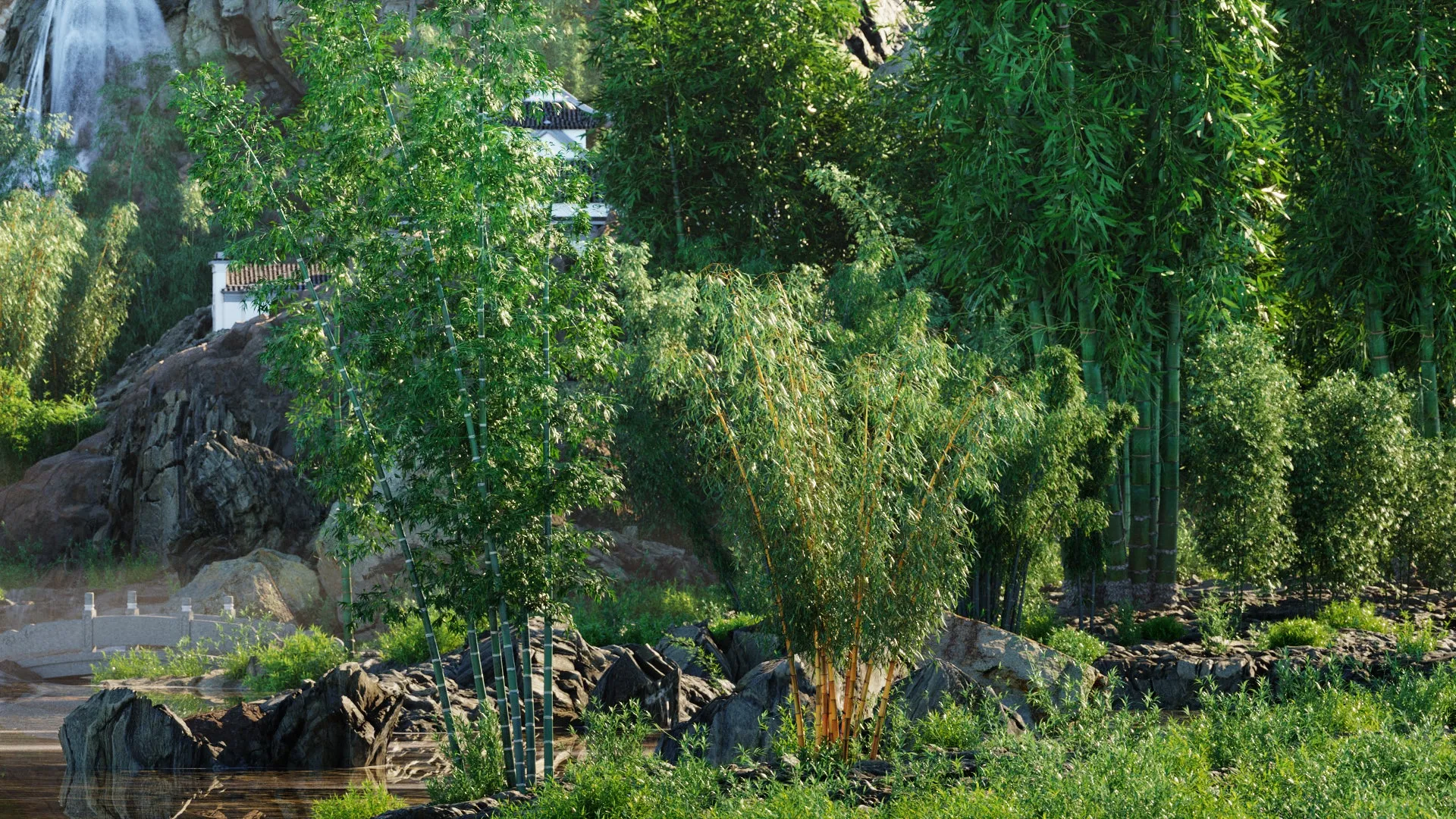 Globe Plants – Bundle 51 – Bamboo World