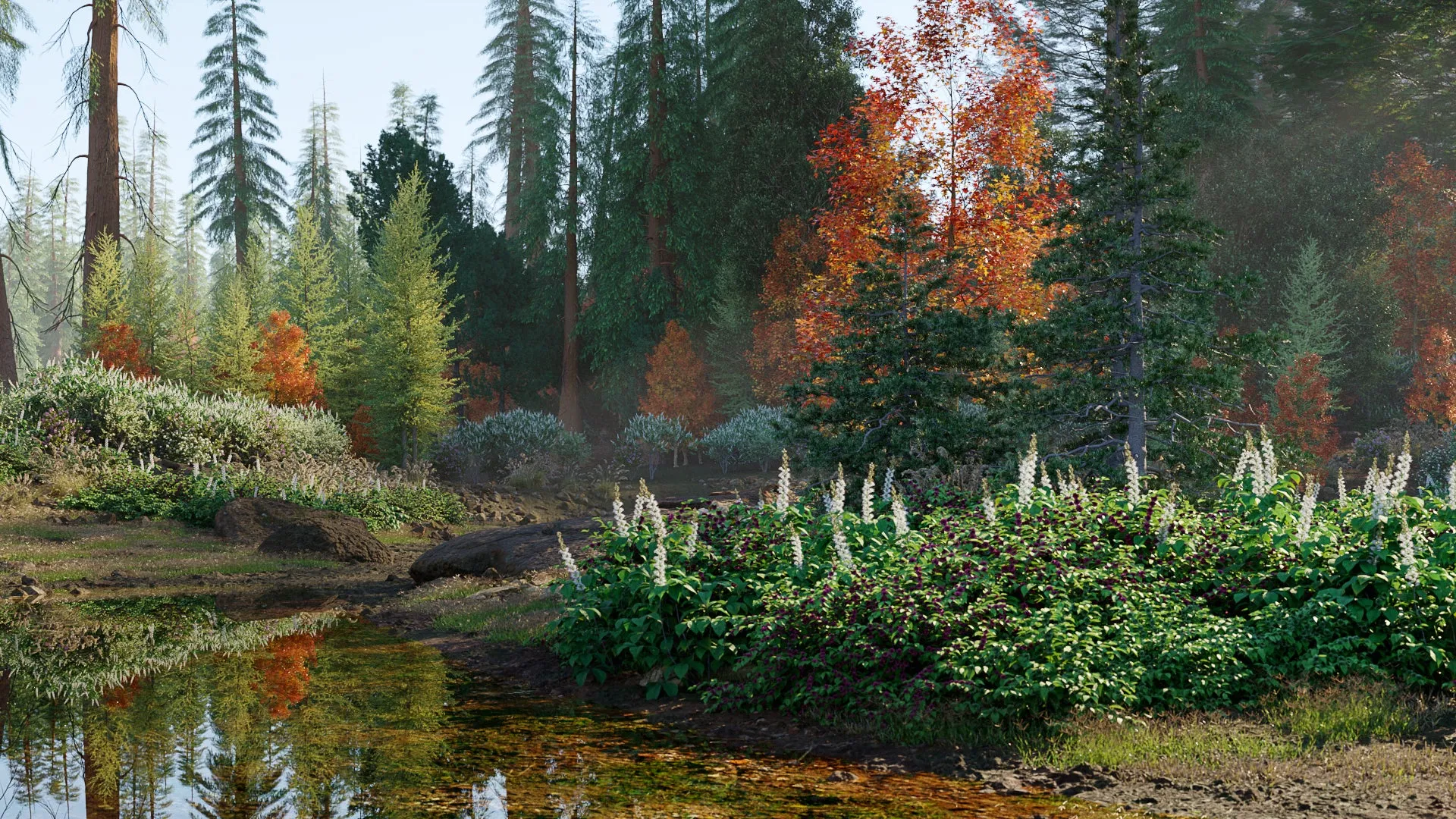 Globe Plants – Bundle 52 – North American Trees