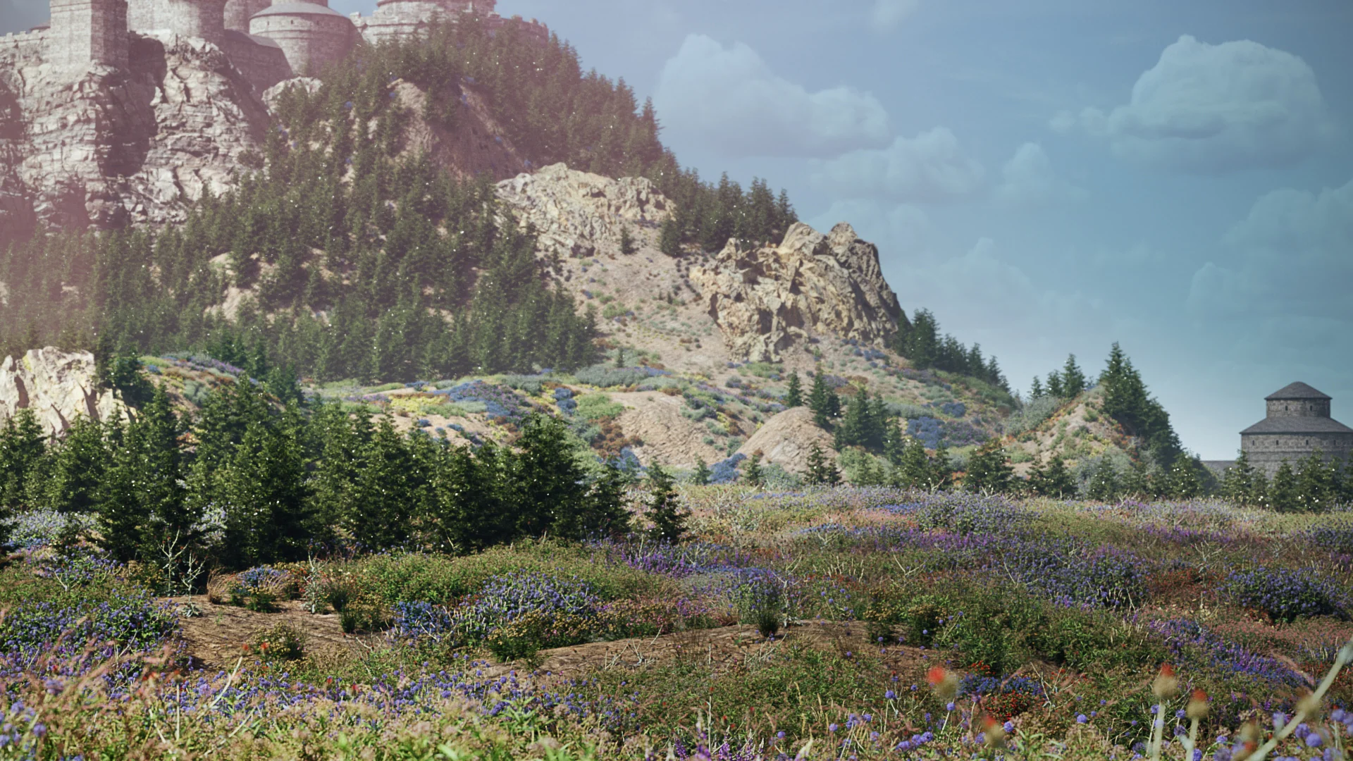 Globe Plants – Bundle 58 – Meadow Plants