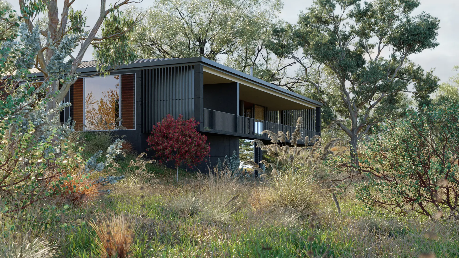 Globe Plants – Bundle 62 – Eucalyptus Trees