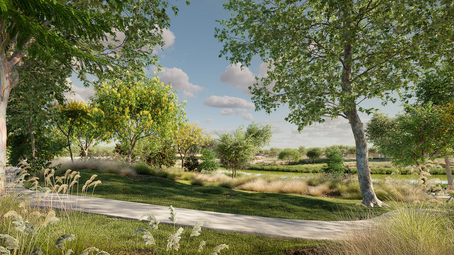 Globe Plants – Bundle 65 – Street Trees