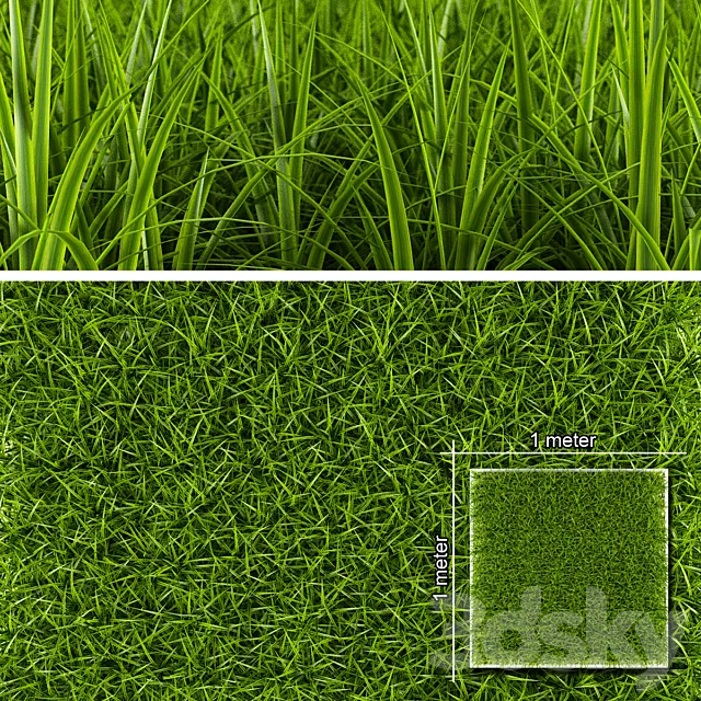 GRASS 1 3DModel GRASS 1 3DModel