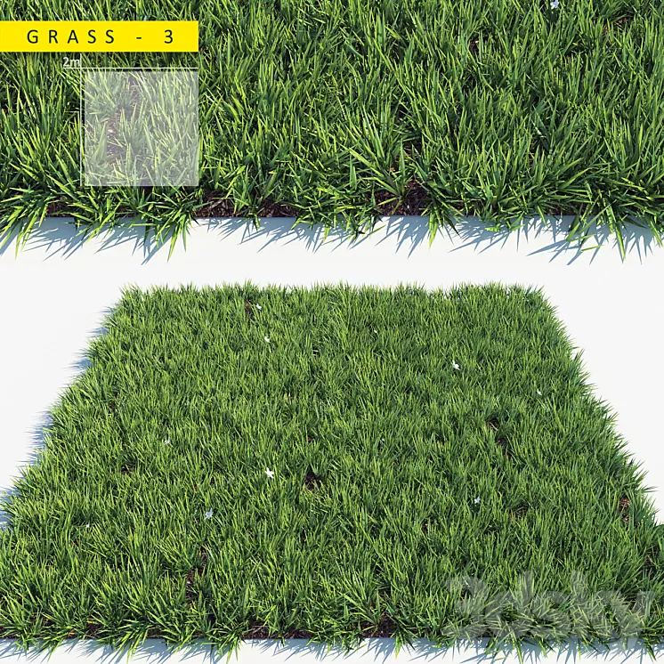 Grass 3 3D Model Grass 3 3D Model