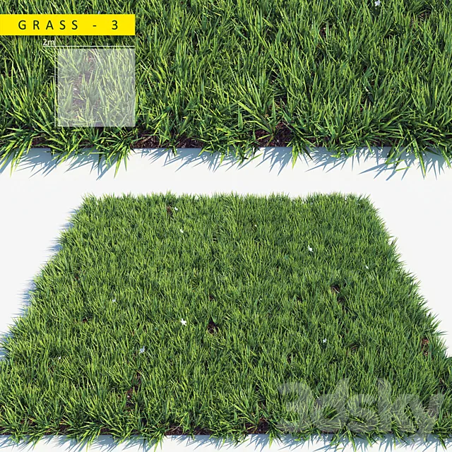 Grass 3 3DModel Grass 3 3DModel