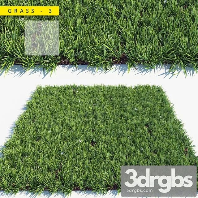 Grass 3 Grass 3