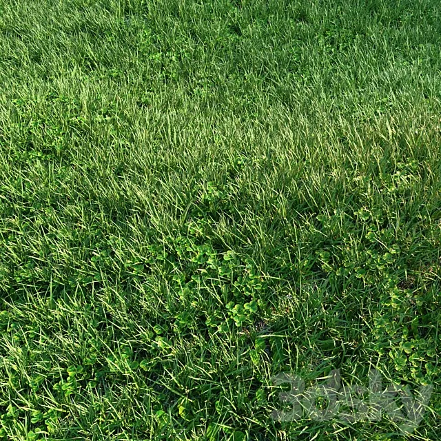 Grass 3D Model Grass 3D Model