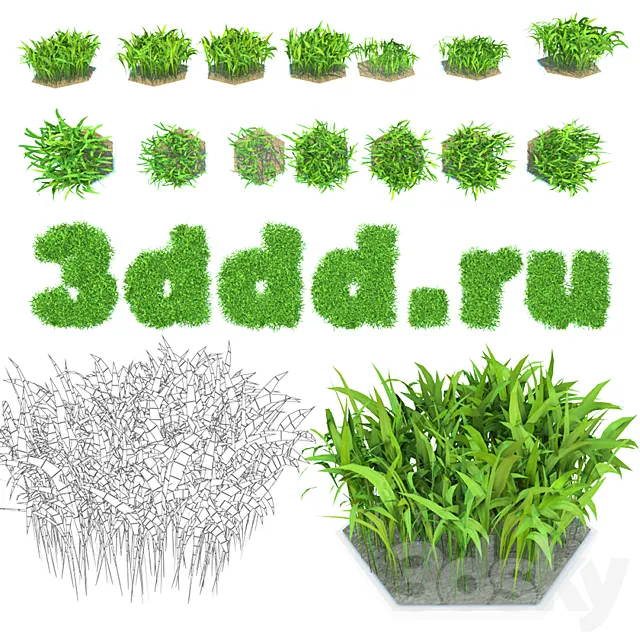 Grass 3D Model Grass 3D Model