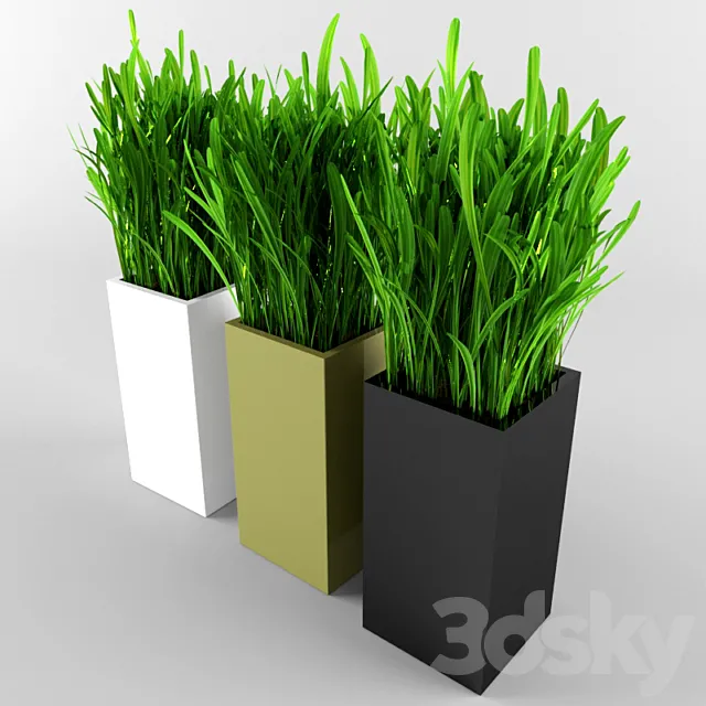 Grass 3DModel Grass 3DModel