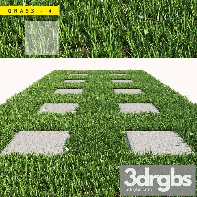 Grass 4 1 3D Model Download Grass 4 1 3D Model Download