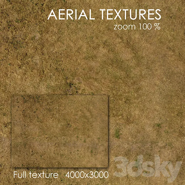 Grass 53 3D Model Grass 53 3D Model