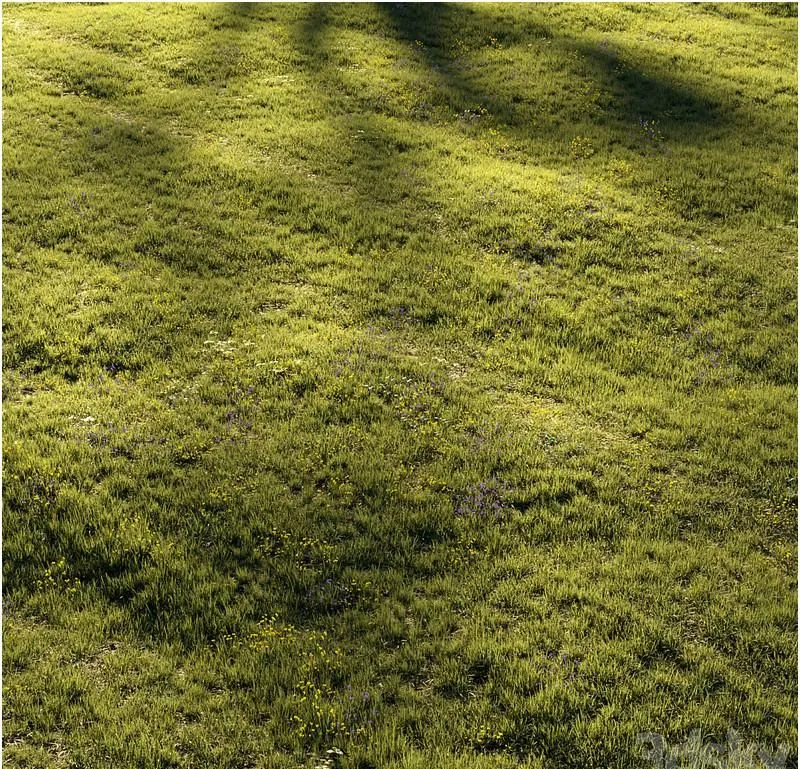 Grass and Flower 3D Model Grass and Flower 3D Model