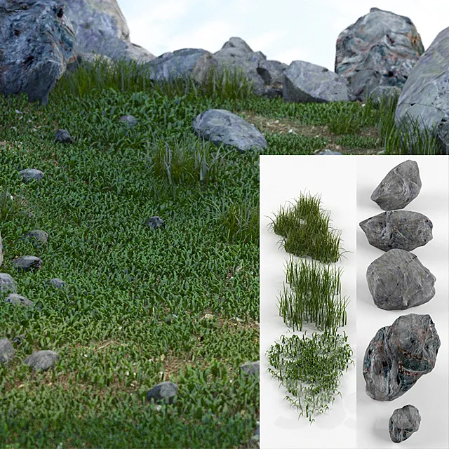 Grass and stones SRG 3DModel