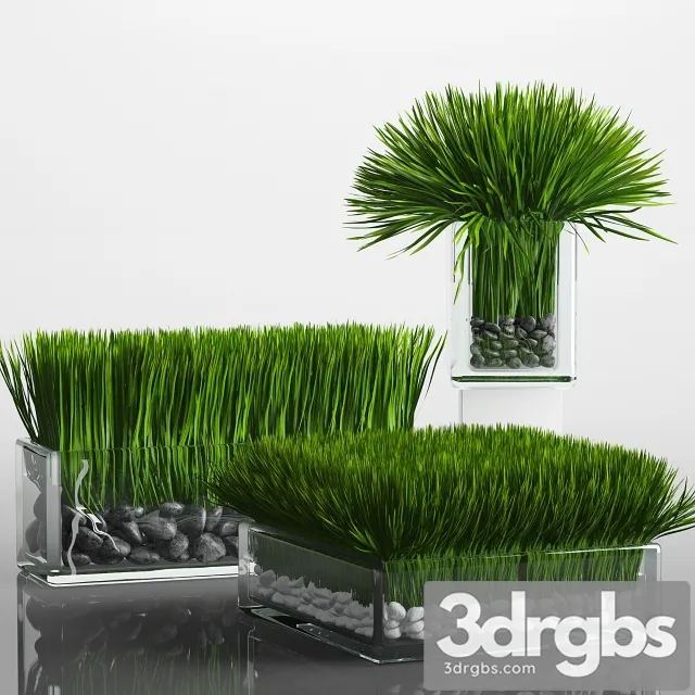 Grass Arrangement 3D Model Download Grass Arrangement 3D Model Download