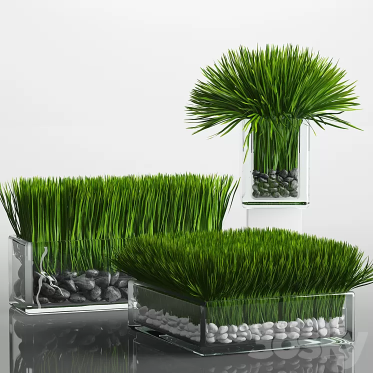 Grass Arrangement 3D Model Grass Arrangement 3D Model