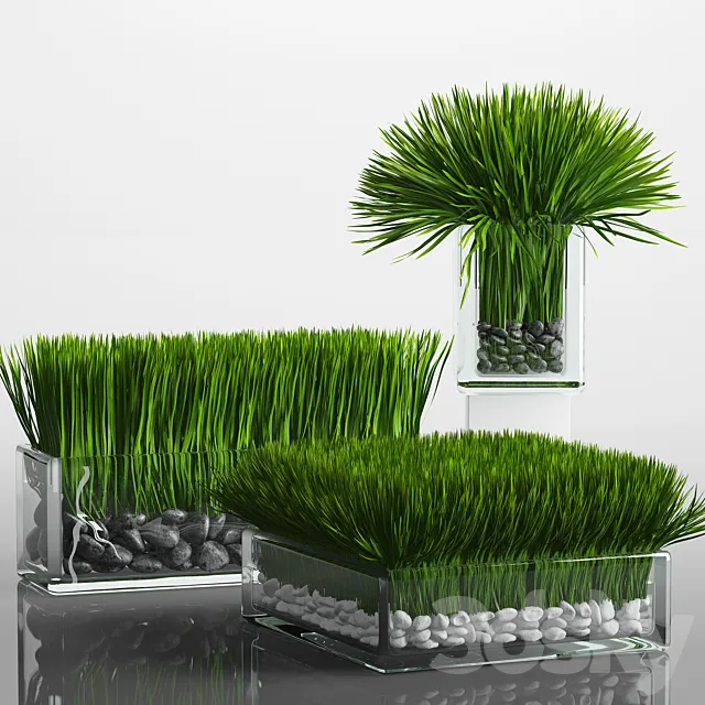 Grass Arrangement 3DModel Grass Arrangement 3DModel