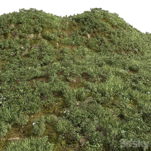 GRASS COLLECTION FOR LANDSCAPE NO12 3D Model GRASS COLLECTION FOR LANDSCAPE NO12 3D Model