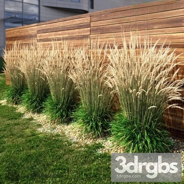 Grass Dry HI 3D Model Download
