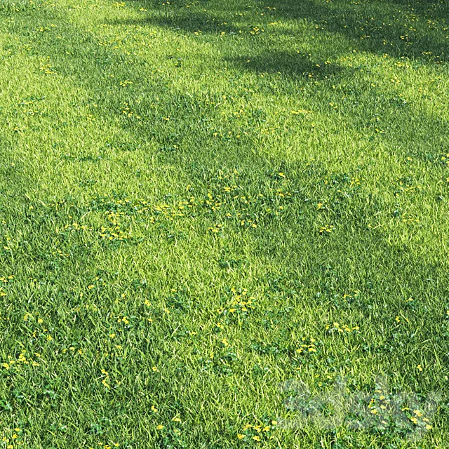 Grass england garden 3D Model Grass england garden 3D Model