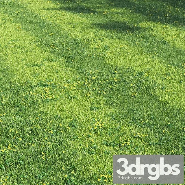 Grass england garden Grass england garden