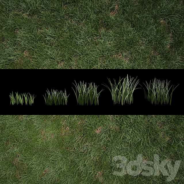 Grass for Exteriors 3D Model Grass for Exteriors 3D Model