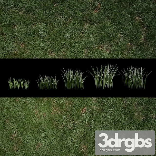 Grass for exteriors Grass for exteriors