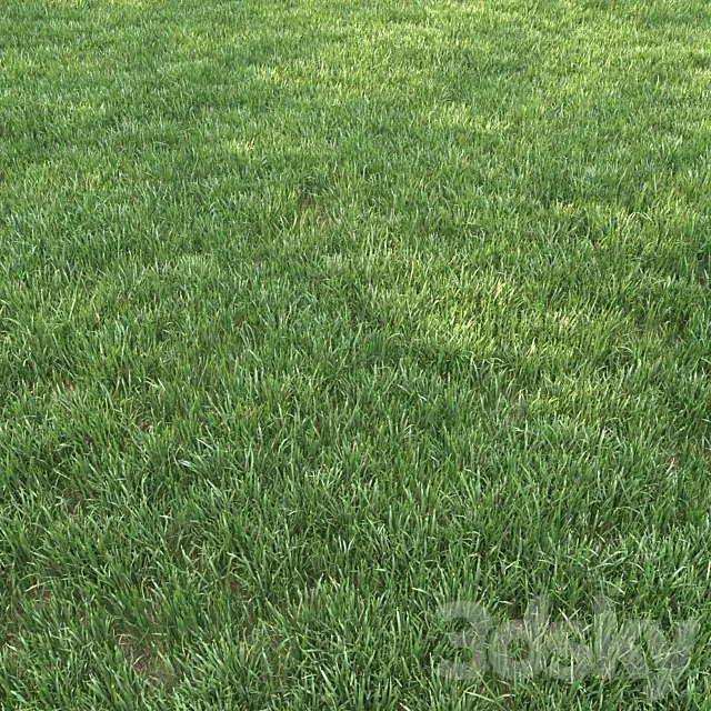 grass for landscape 12 3D Model grass for landscape 12 3D Model