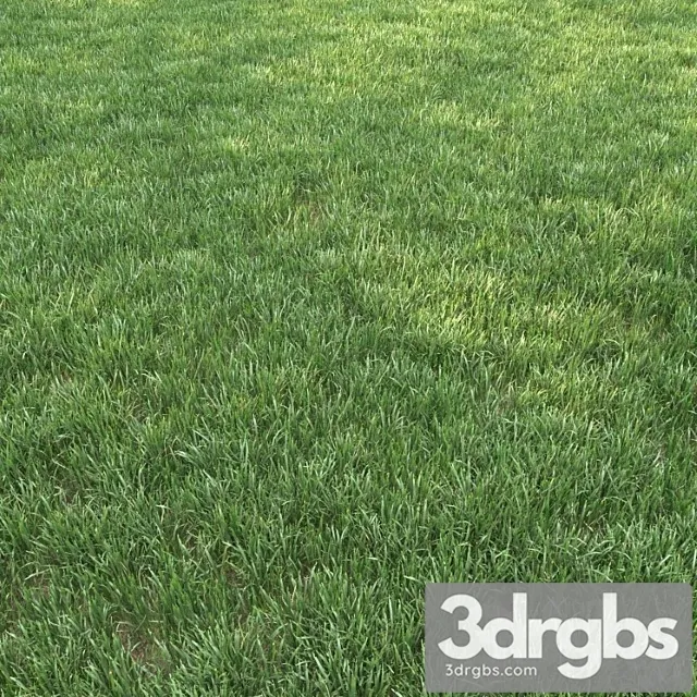 Grass for landscape 12 Grass for landscape 12