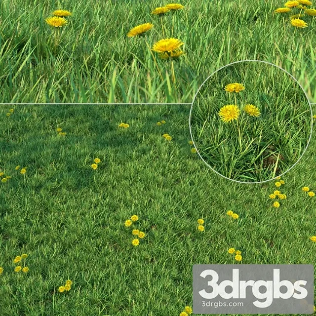Grass For Landscaping 3D Model Download Grass For Landscaping 3D Model Download