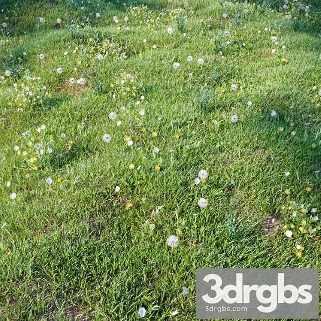 Grass For Landscaping Set03 Grass For Landscaping Set03