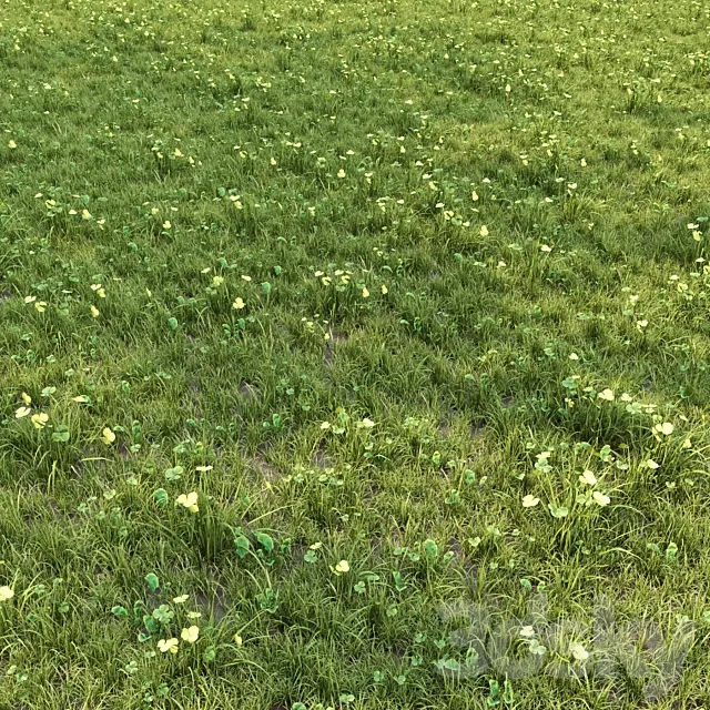 grass for lanscape 06 3D Model grass for lanscape 06 3D Model