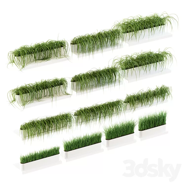 Grass for shelves. 13 models of v2 3D Model Grass for shelves. 13 models of v2 3D Model