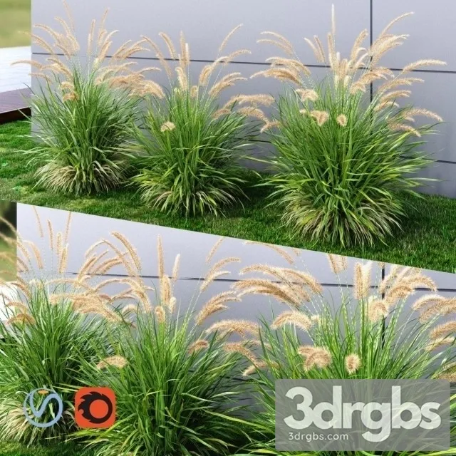 Grass Fountain Green Medium 3D Model Download Grass Fountain Green Medium 3D Model Download