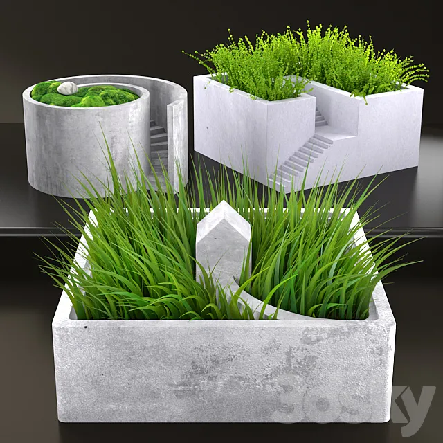 Grass in pots 3D Model Grass in pots 3D Model