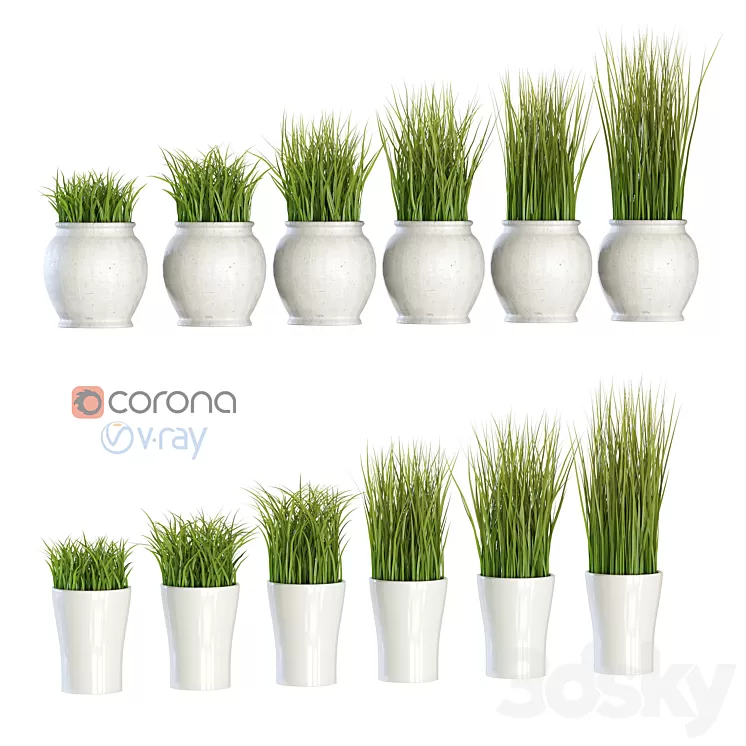 Grass in pots 3D Model Grass in pots 3D Model