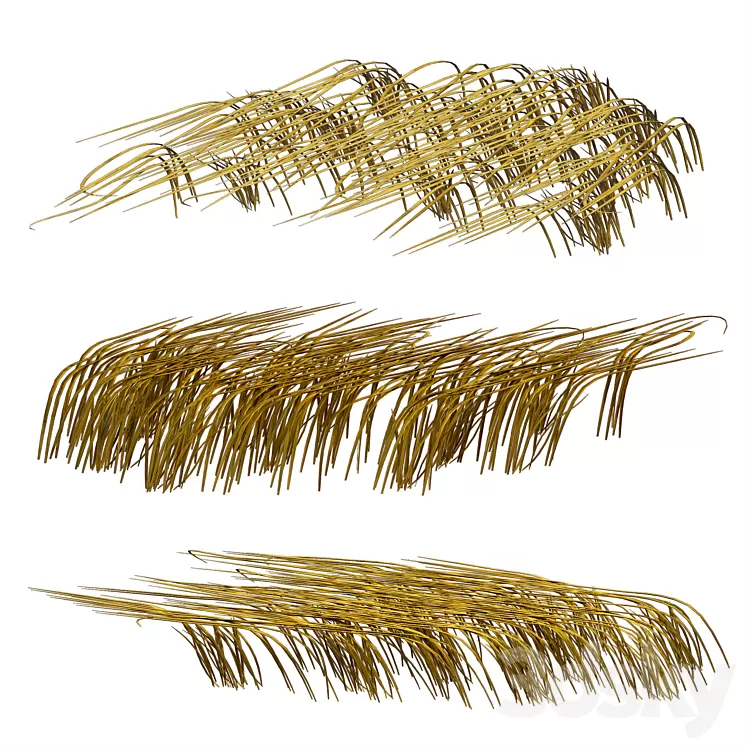 Grass in the water. Water chirp. Water grass. 3D Model Grass in the water. Water chirp. Water grass. 3D Model