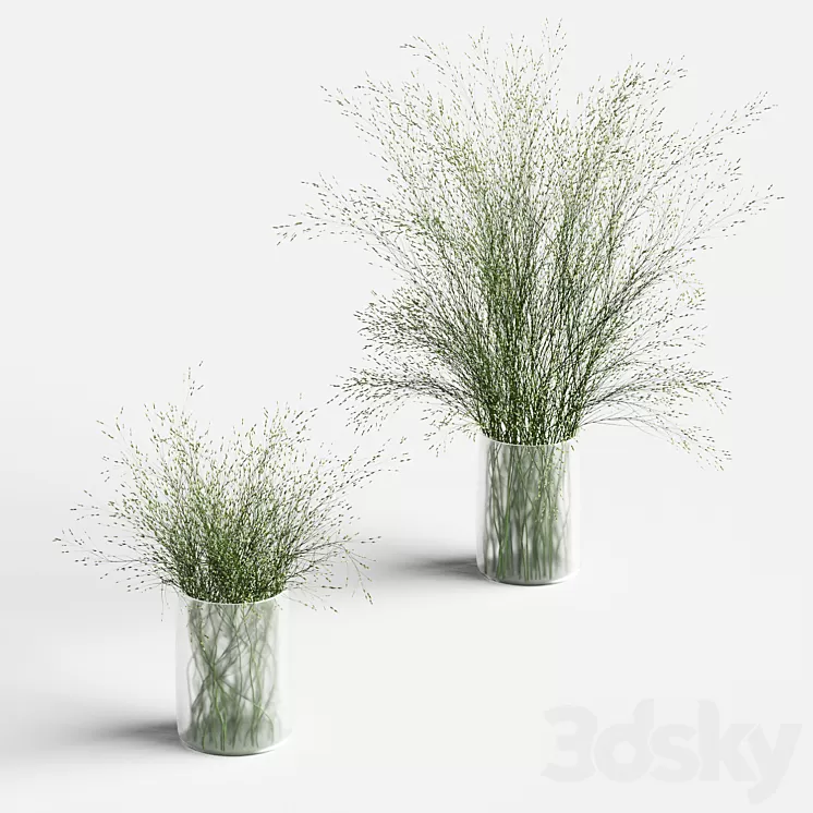Grass in vases 2 3D Model