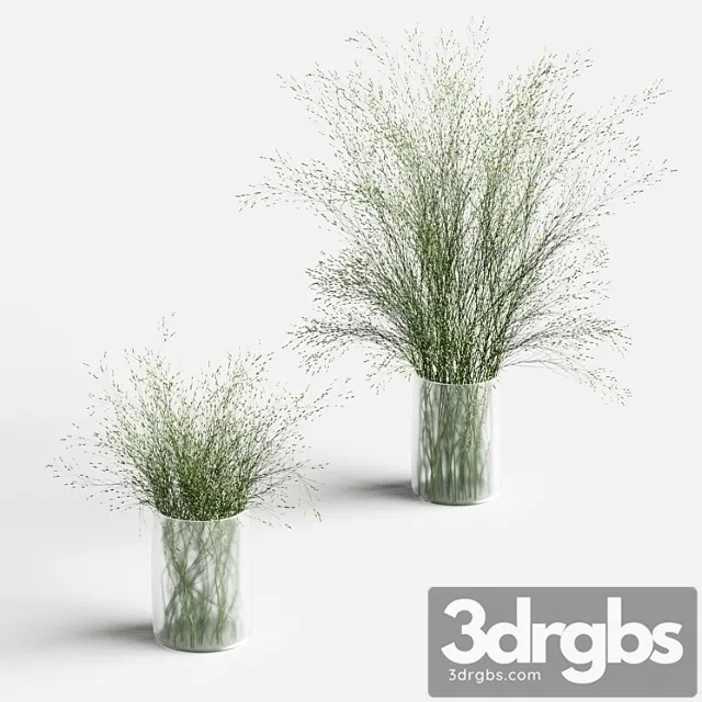 Grass in vases 2 Grass in vases 2
