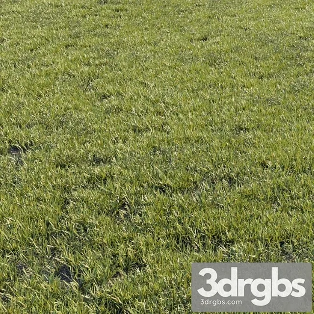 Grass kit 1 Grass kit 1