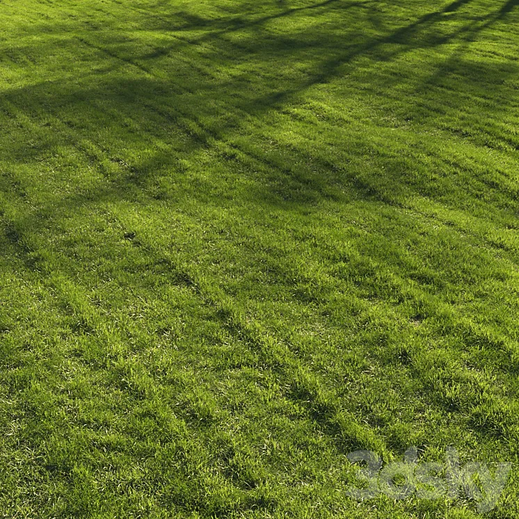 Grass lawn 3D Model Free Download