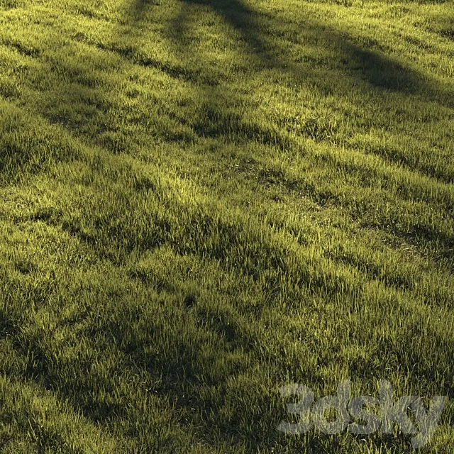 Grass | lawn 3D Model Grass | lawn 3D Model