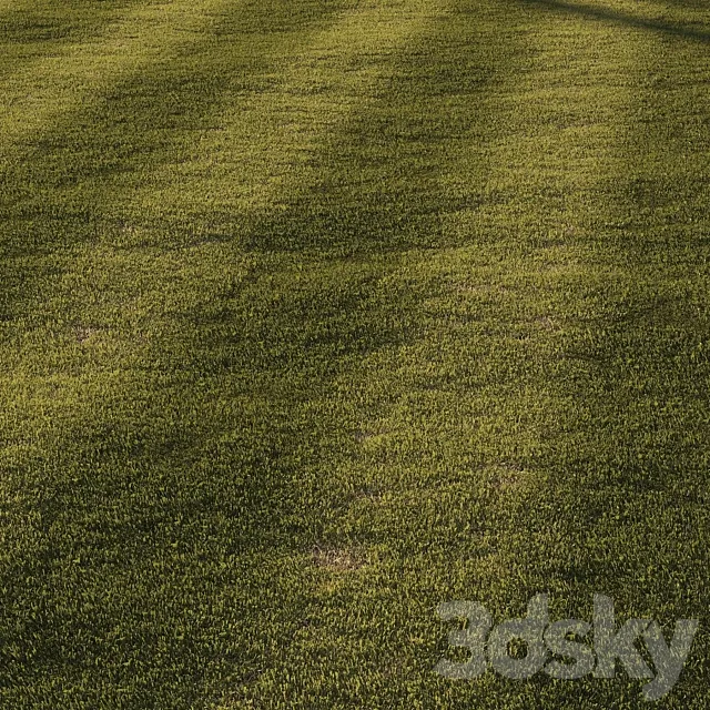 Grass | mowed lawn 3D Model Grass | mowed lawn 3D Model