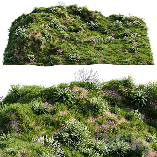 Grass on the slope 3D Model Grass on the slope 3D Model