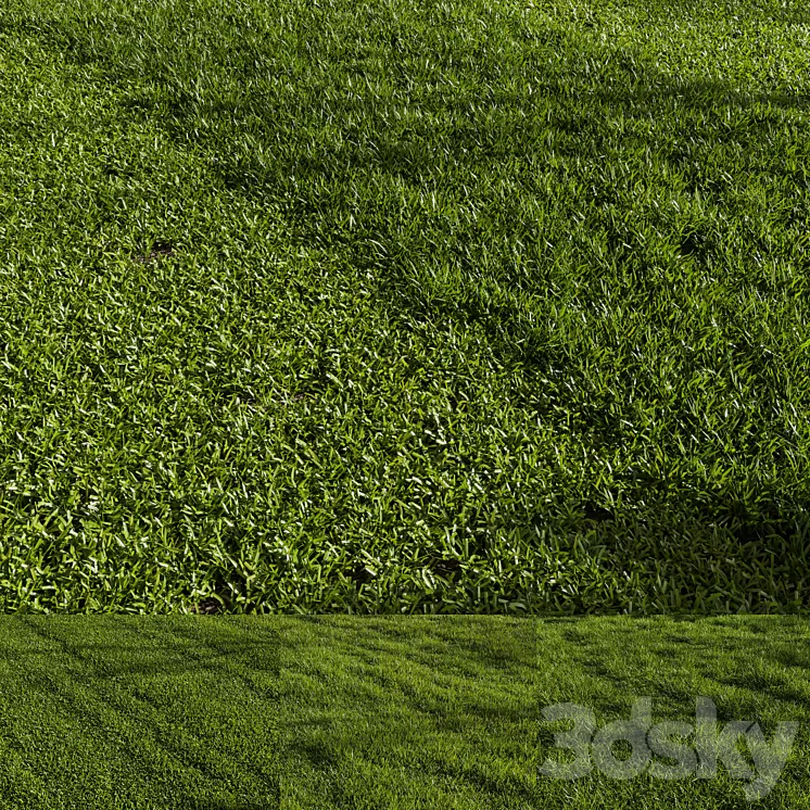 Grass Pack 01 3D Model Free Download