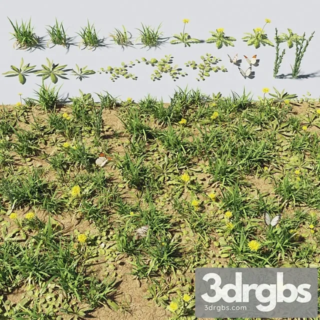 Grass Plants 2 3D Model Download Grass Plants 2 3D Model Download