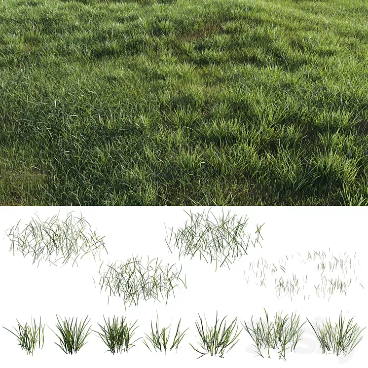 Grass-plot 3D Model Grass-plot 3D Model