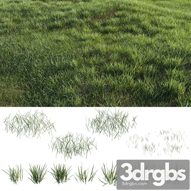 Grass-plot Grass-plot