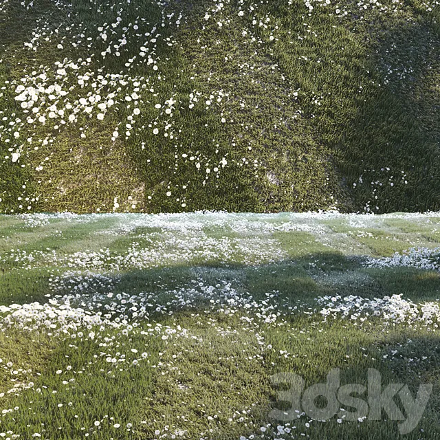 Grass set 01 3DModel Grass set 01 3DModel