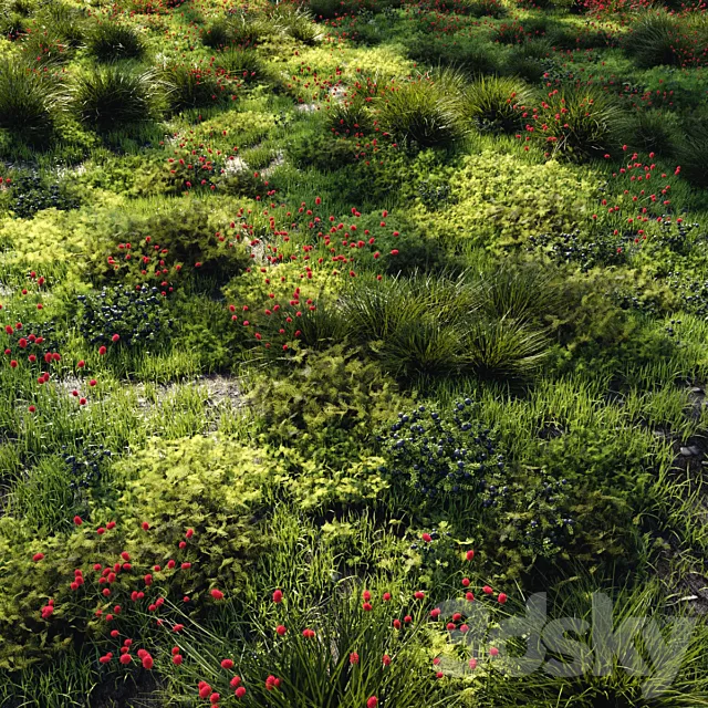 Grass set 1 3D Model Grass set 1 3D Model