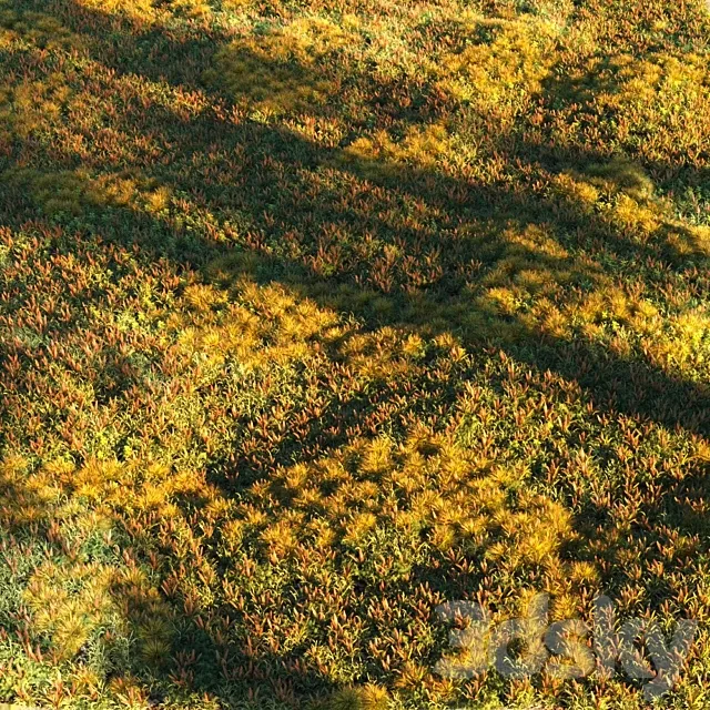 Grass set 2 3DModel Grass set 2 3DModel